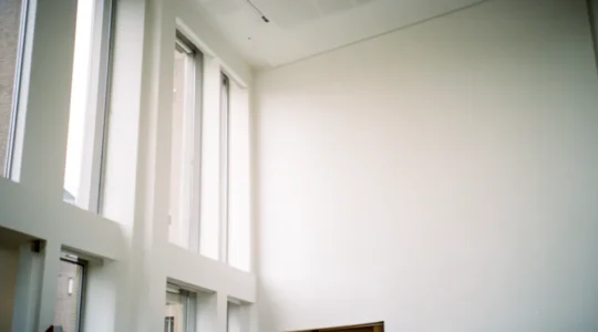 Illustratie van administratieve navigatie door het CBR met medische beperkingen